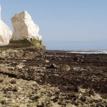 splash_Point_Seaford