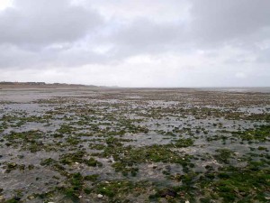 Ferring, The Strand, Sussex; view east