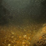 web_seabed1