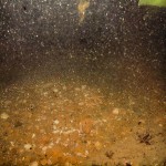 web_seabed2