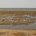 Fairlight view south