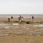 Shore searchers.
