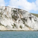 Watchful Beachy Head E of lighthouse