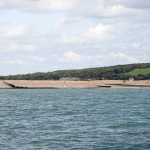 Watchful Cuckmere Haven