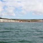 Watchful Birling Gap