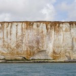 Watchful cliff W Cuckmere Haven