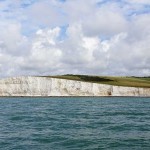 Watchful near Birling Gap