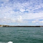 Watchful Newhaven harbour