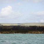 Watchful Newhaven harbour arm