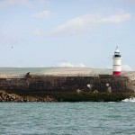 Watchful Newhaven harbour arm