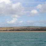 Watchful Seaford Bay