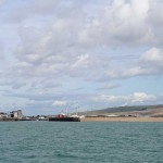 Watchful Seaford Bay