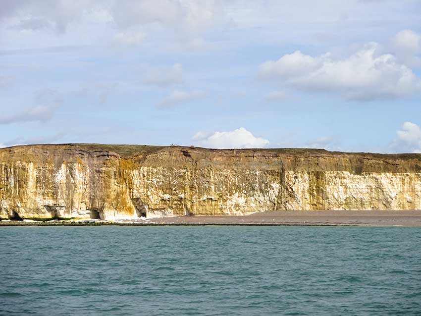 Watchful cliffs W Beach Newhaven