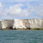 Watchful cliffs near Seaford Head