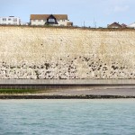 Watchful cliffs Telscombe