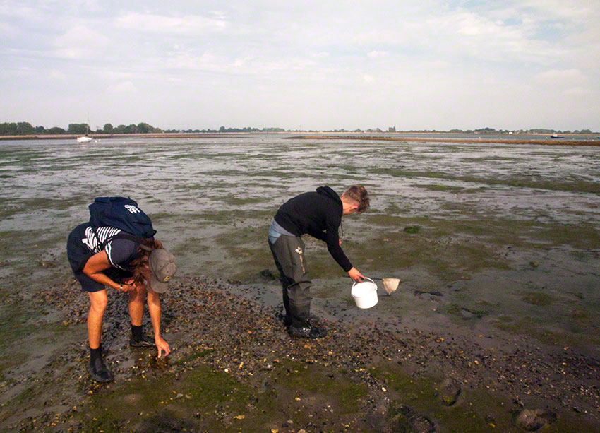 Chichester Harbour: Thornham Point