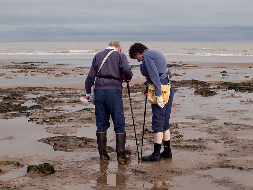 Seasearchers at work