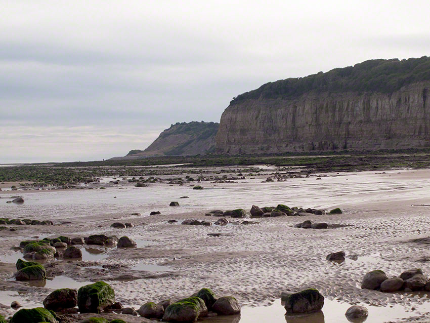 View west, cliffs and upper shore