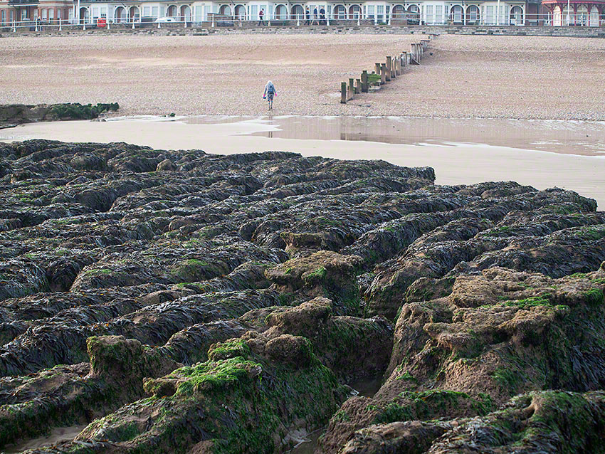 Bexhill, by sailing club, midshore