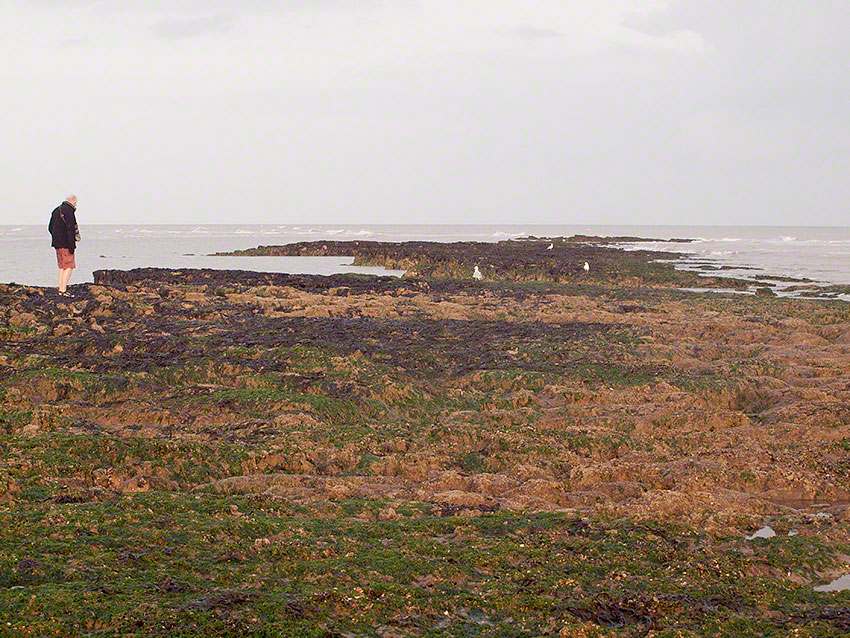 Bexhill, by sailing club: Lower shore, reef to SW