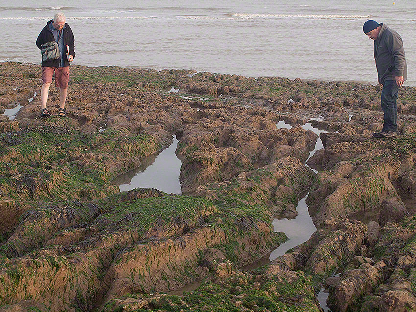 Bexhill, by sailing club: Lower shore