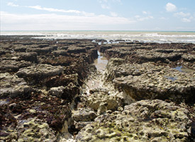 View down wave-cut platform